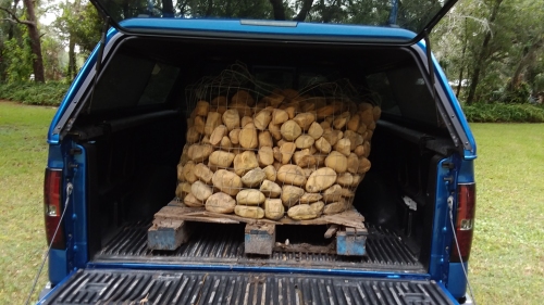 Nearly a ton of rocks in my truck.